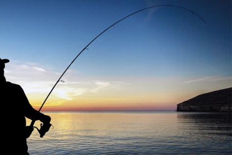 Egem Av Bayii Resmi web sitesi promo